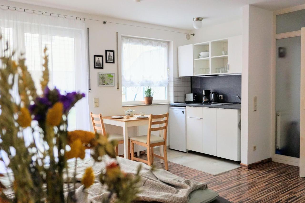 Gemuetliche Ferienwohnung In Ruhiger Lage Dresden Dış mekan fotoğraf