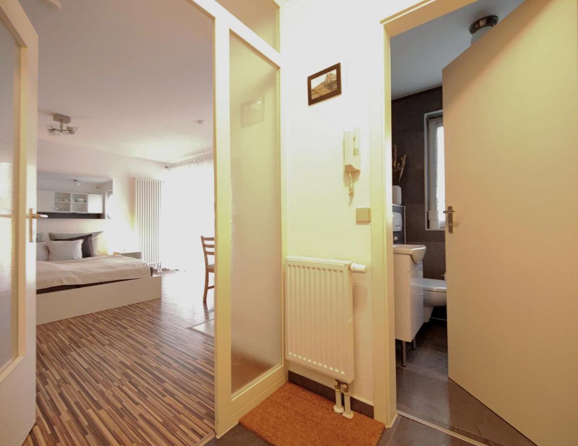 Gemuetliche Ferienwohnung In Ruhiger Lage Dresden Dış mekan fotoğraf