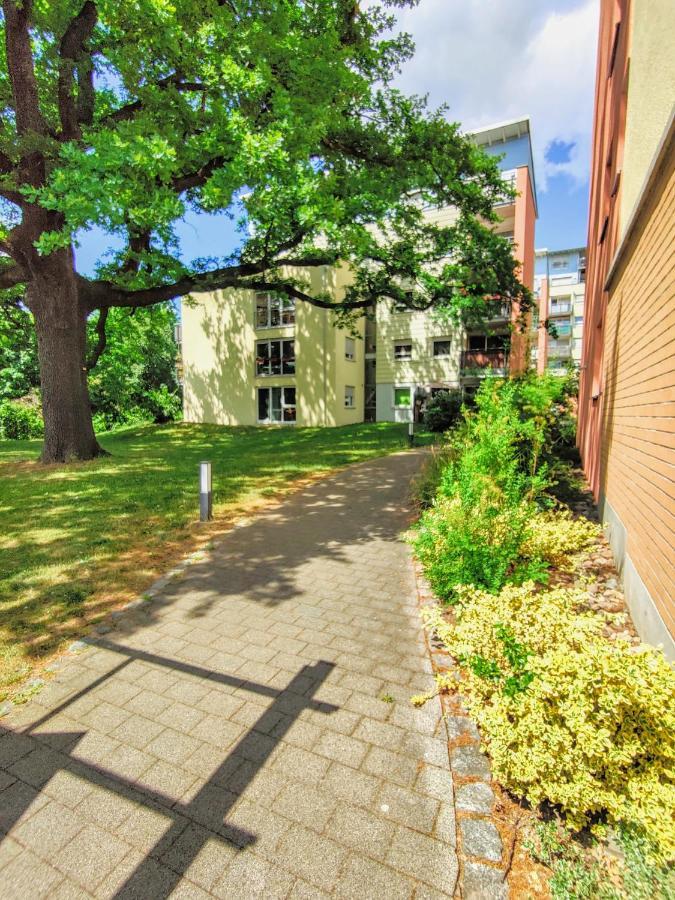 Gemuetliche Ferienwohnung In Ruhiger Lage Dresden Dış mekan fotoğraf